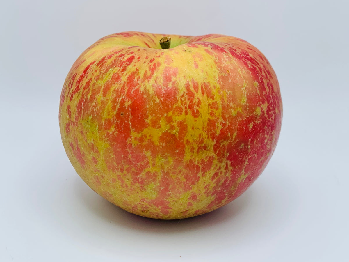 Apple - はちみつ Amazon.co.jp: 1st Selection Apple Honey 17.6 oz (500 g