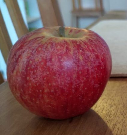 Bonnie's Best Apple Tree