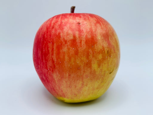 round apple with a red to yellow color gradient left to right