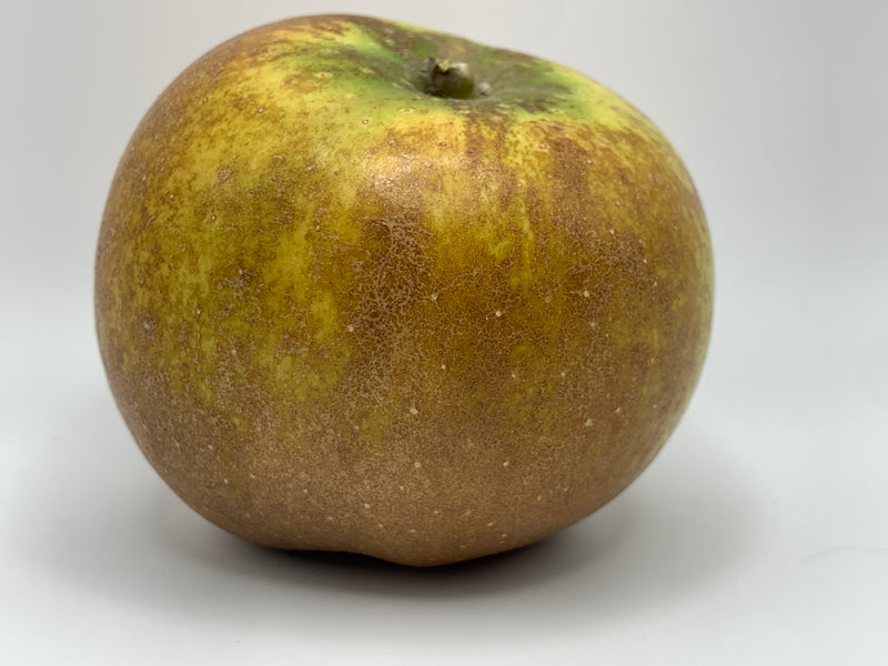 Golden Russet Apple Trees