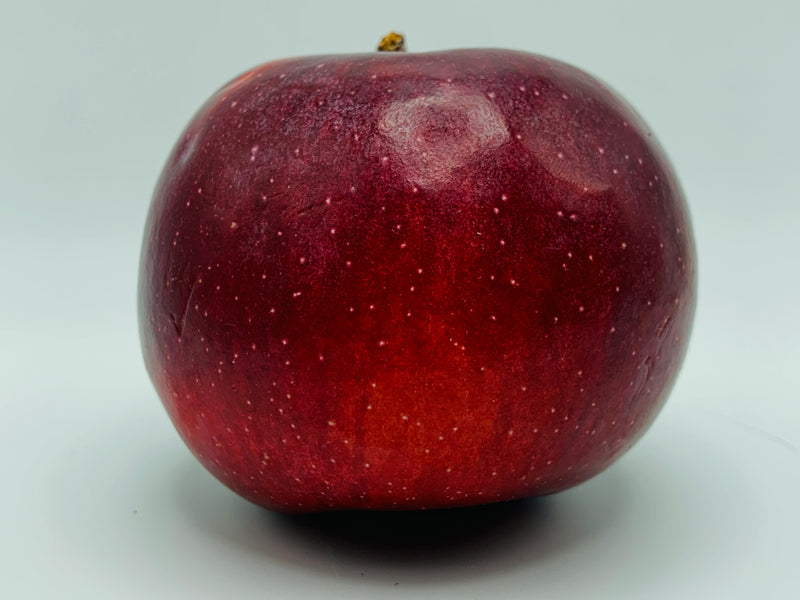 Royal Empire Apple Tree