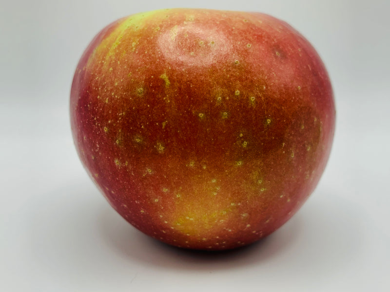 Haralson Apple Trees